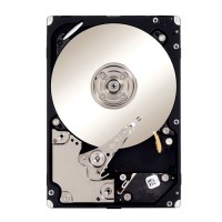 Seagate  ST33000650NS - 3TB